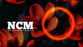 Cartoon, Jéja - C U Again ft. Mikk Mäe (Cartoon, Jéja, Futuristik VIP) | NCM - Copyright Free Music