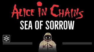 Alice in Chains • Sea of Sorrow (CC) 🎤 [Karaoke] [Instrumental Lyrics]