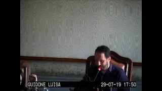 Consiglio comunale - 29 luglio 2019 - 1 parte