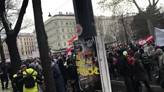 Neonazis und Verschwörungstheoretiker auf der „Corona“ Demo am 16.1.2021 in Wien?