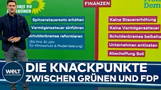 "ZITRUS"-KOALITION: Zoff garantiert? Bei diesen Themen droht zwischen den Grünen und der FDP Ärger