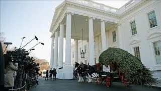The White House Christmas Tree Arrives
