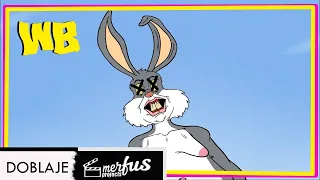 RIP Wabbit Season - FANDUB ESPAÑOL LATINO - SPANISH DUB