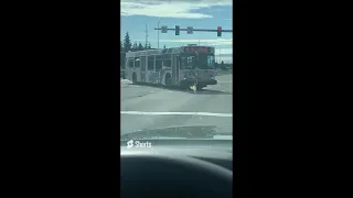 Anchorage, Alaska - Bus Action - People Mover Buses