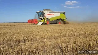 Claas lexion 650, Claas lexion 440, 2x Case puma 240, Árpa  aratás