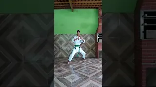 Seienchin Kata. Rcs Seigokan