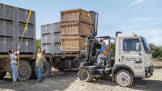 Driving a Genius Modified Truck that Transform into a Forklift