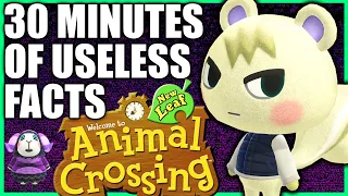 30 minutes of useless information about Animal Crossing: New Leaf (on the 3DS)