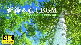 [4K] Soothing BGM and fresh greenery VOL.3 (bird voices, river murmuring)