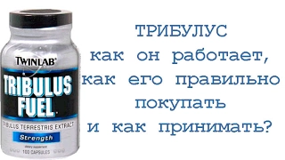 Трибулус: как он работает, как его правильно покупать и принимать