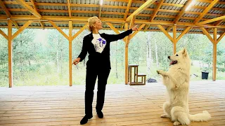 "Мама, Я танцую!"  Танцы с собаками