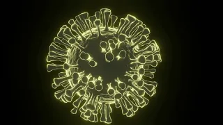 coronavirus, Sars-Cov-2 (3d animation)