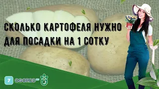 Сколько картофеля нужно для посадки на 1 сотку