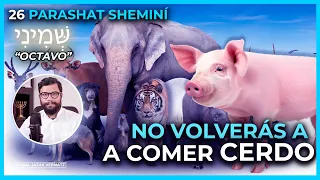 No volverás a COMER CERDO | Santidad en la Alimentación | #26 PARASHAT SHEMINÍ  (OCTAVO)