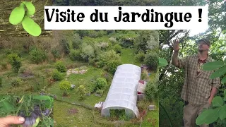 Visite du jardin en juillet !