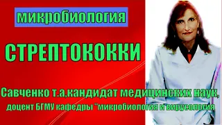 Стрептококки.Лекция по теме "Стрептококки"