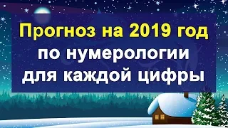 Нумерологический прогноз на 2019 год по дате рождения! Светлана Белова.