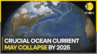 Gulf Stream Atlantic oceanic currents could collapse as early as 2025: Study | WION Climate Tracker