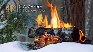 Campfire in a Snowy Forest ❄️ Natural Ambience & Crackling Sounds