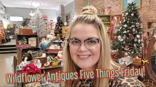 What Will I Pick To List On Ebay?? Five Things Friday!