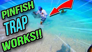 Pinfish Trap Actually Works!