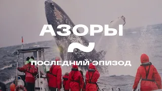 Экспедиция на Азоры. Эпизод 3 (последний): Пико, whale watching, подъем на вулкан, остров Фаиал