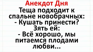 Анекдот Дня! Теща и новобрачные. Жизненные анекдоты с неожиданным финалом! #анекдоты #юмор