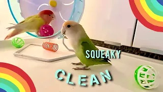 Spot-Clean & Play