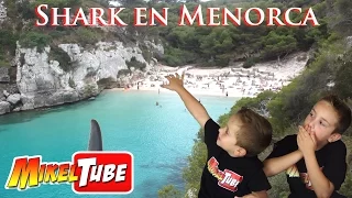 Tiburones en Menorca , Shark & Co. en cala Macarella