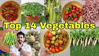 Top 14 vegetables to grow at Home / Garden (English CC)