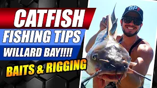 Catfishing - Catfish Fishing Tips And Techniques - Willard Bay Fishing - Willard Bay Utah Catfish