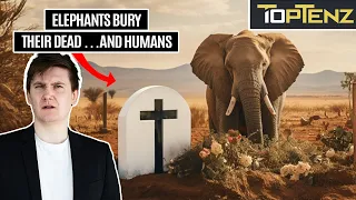 10 Bizarre and Chaotic Things You Never Knew About Elephants