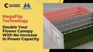 Introducing MegaFlip: Double Your Flower Canopy With No Increase In Power Capacity.