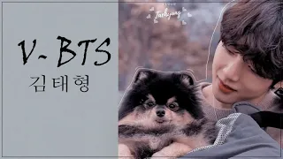 [V Playlist] V Solo & Duet/방탄소년단 뷔 노래모음 - 가사 포함 (광고 없음)