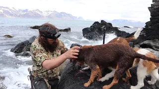 MINK HUNTING with the LEGEND him self VARGURINN in the Westfjords ICELAND. Part 2/3