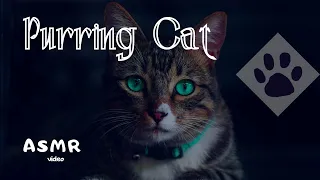 15 minutes of cat purring • Cat purring sound • Comforting sound for sleeps and relaxation • ASMR