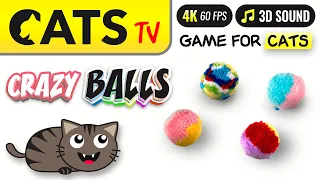 CAT TV - BEST Balls toys for cats to watch 😻🎶 4K 🔴 3 HOURS