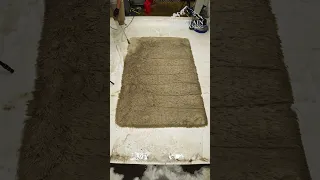 ASTONISHING Timelapse Of A Full Rug Clean. Amazing Transformation! ASMR Timelapse. #shorts