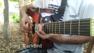 (The Beatles) BlackBird | D:nu | Fingerstyle Guitar Cover