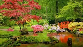 Красивая расслабляющая музыка: Японский сад Б. Педер Хелланн (официальное видео)