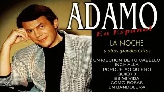 Adamo - La noche y otros grandes éxitos en español