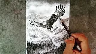 How to draw flying eagle / hawk landscape with pencil step by step.