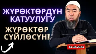 ЖҮРӨКТОР СҮЙЛӨСҮН,  ЖҮРӨКТҮН КАТУУЛУГУ Устаз Эрмек Тынай уулу