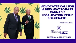 Advocates Call for New Way to Pass Cannabis Legalization in the U.S. Senate | TRICHOMES Morning Buzz