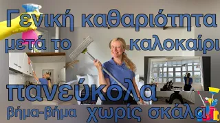 Πως καθαρίζω τοίχους & τζάμια / Γενική καθαριότητα σπιτιού σε 30´/JUMBO HAUL  /Katerina’s diaries