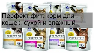 Перфект фит: корм для кошек, сухой и влажный