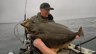 *JUMBO* California Halibut +1