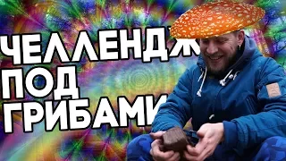 Грибы! Опасный кулинарный эксперимент! Поход в лес!