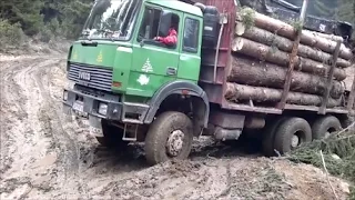 Iveco 6x6 Holztransporter