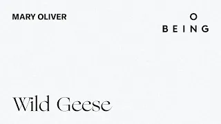 “Wild Geese” — written and read by Mary Oliver